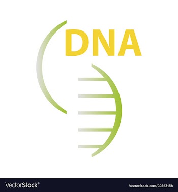 Dna genetic sign elements and icons collection vector image