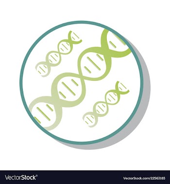 Dna genetic sign elements and icons collection vector image