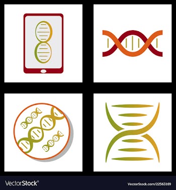 Dna genetic sign elements and icons collection vector image