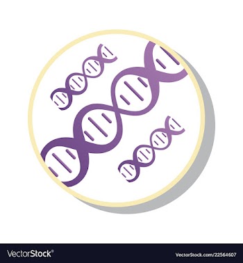Dna genetic sign elements and icons collection vector image