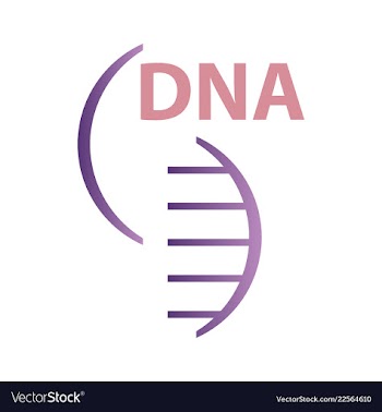 Dna genetic sign elements and icons collection vector image