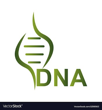 Dna genetic sign elements and icons collection vector image