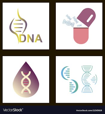 Dna genetic sign elements and icons collection vector image