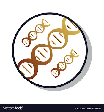 Dna genetic sign elements and icons collection vector image