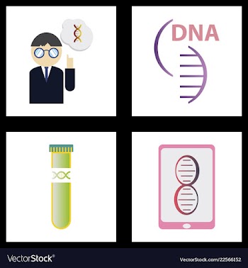 Dna genetic sign elements and icons collection vector image