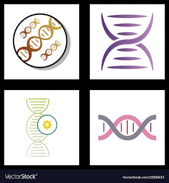 Dna genetic sign elements and icons collection vector image