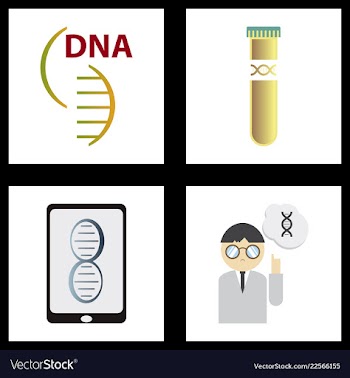 Dna genetic sign elements and icons collection vector image