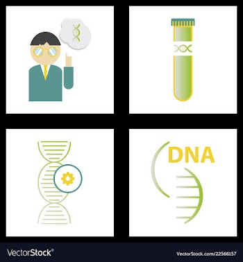 Dna genetic sign elements and icons collection vector image