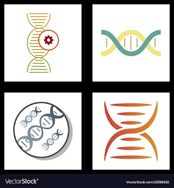 Dna genetic sign elements and icons collection vector image