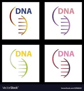Dna genetic sign elements and icons collection vector image