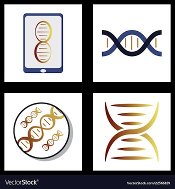 Dna genetic sign elements and icons collection vector image