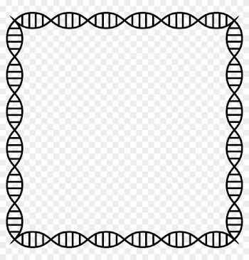 Dna Helix Frame 2 - Frame Dna Png