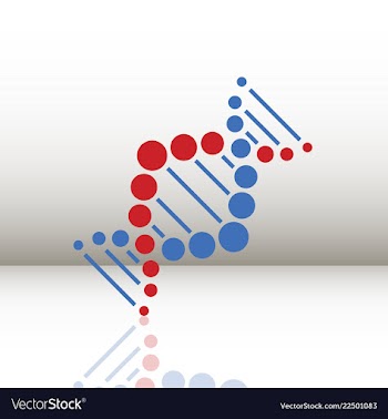 Dna helix logo template genetics design biological vector image