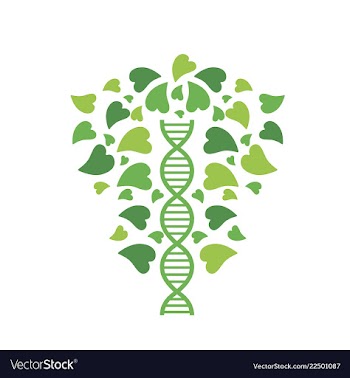 Dna helix logo template genetics design biological vector image