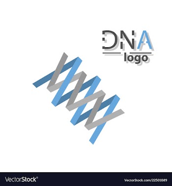 Dna helix logo template genetics design biological vector image