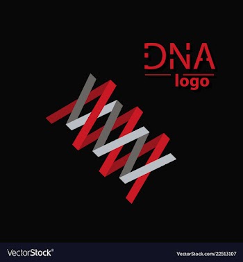 Dna helix logo template genetics design biological vector image