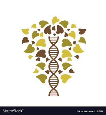 Dna helix logo template genetics design biological vector image