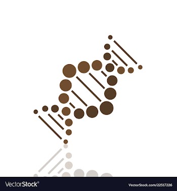 Dna helix logo template genetics design biological vector image