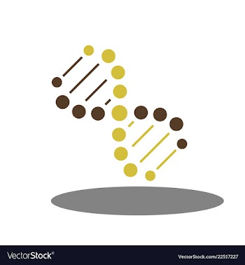 Dna helix logo template genetics design biological vector image