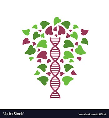 Dna helix logo template genetics design biological vector image