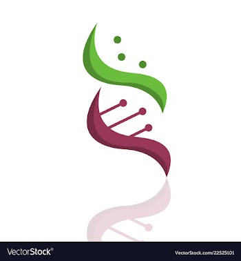 Dna helix logo template genetics design biological vector image