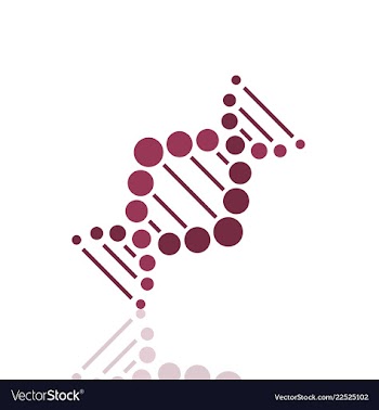 Dna helix logo template genetics design biological vector image