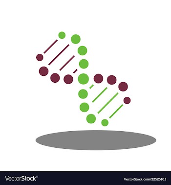 Dna helix logo template genetics design biological vector image