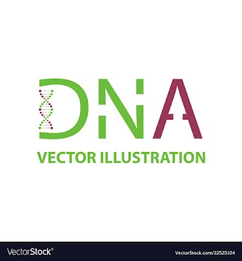 Dna helix logo template genetics design biological vector image