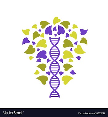 Dna helix logo template genetics design biological vector image