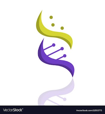 Dna helix logo template genetics design biological vector image