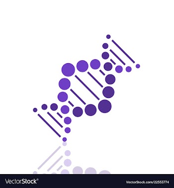 Dna helix logo template genetics design biological vector image