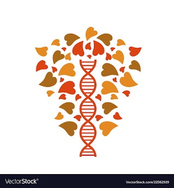 Dna helix logo template genetics design biological vector image