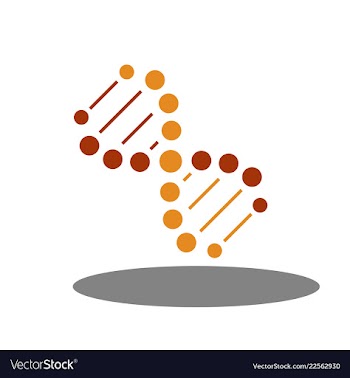 Dna helix logo template genetics design biological vector image