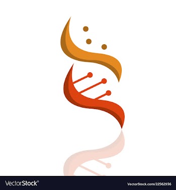 Dna helix logo template genetics design biological vector image