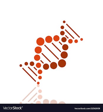Dna helix logo template genetics design biological vector image