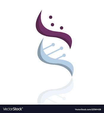 Dna helix logo template genetics design biological vector image