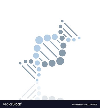 Dna helix logo template genetics design biological vector image