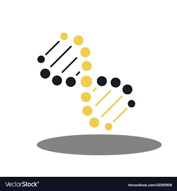 Dna helix logo template genetics design biological vector image