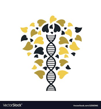 Dna helix logo template genetics design biological vector image