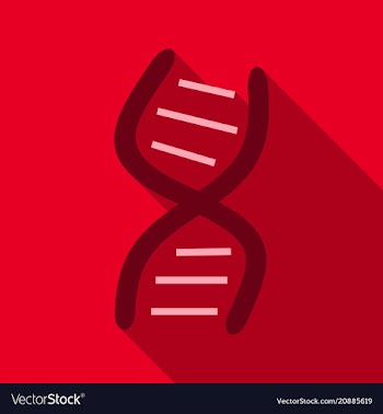 Dna molecule bio abstract logo design vector image