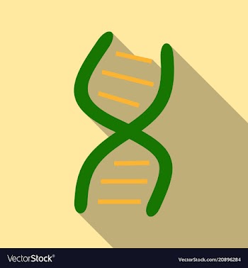 Dna molecule bio abstract logo design vector image