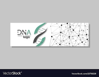 Dna molecule brochure template flyer layout vector image