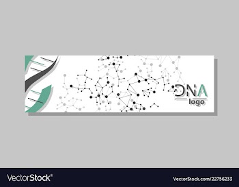 Dna molecule brochure template flyer layout vector image