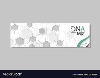 Dna molecule brochure template flyer layout vector image
