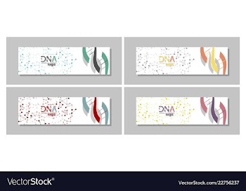 Dna molecule brochure template flyer layout vector image