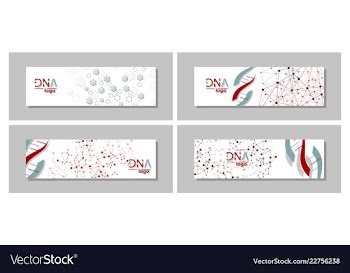 Dna molecule brochure template flyer layout vector image