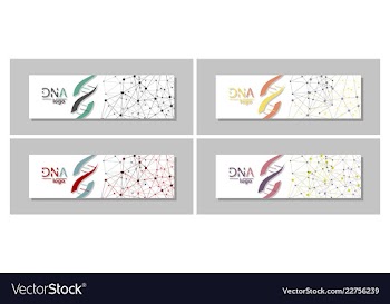 Dna molecule brochure template flyer layout vector image