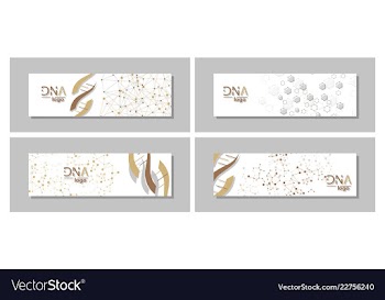 Dna molecule brochure template flyer layout vector image
