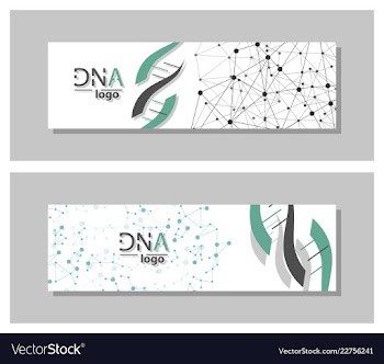 Dna molecule brochure template flyer layout vector image