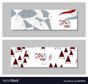Dna molecule brochure template flyer layout vector image